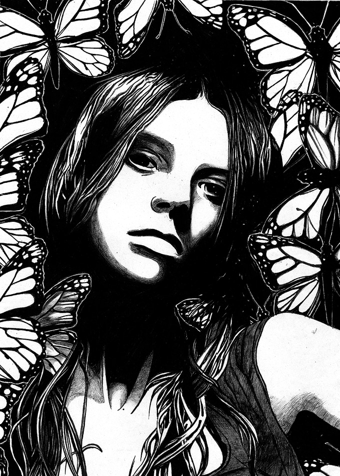 Butterflies