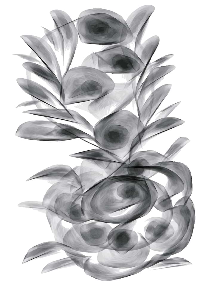 abstract nature