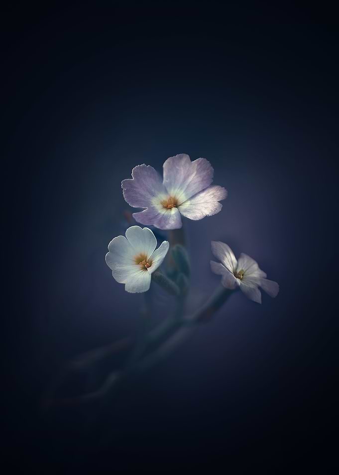 three poems
