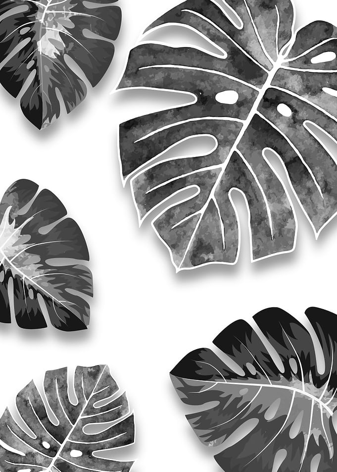 Leaves Black and White