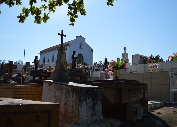 vivis rosa grata et grata sepulcris