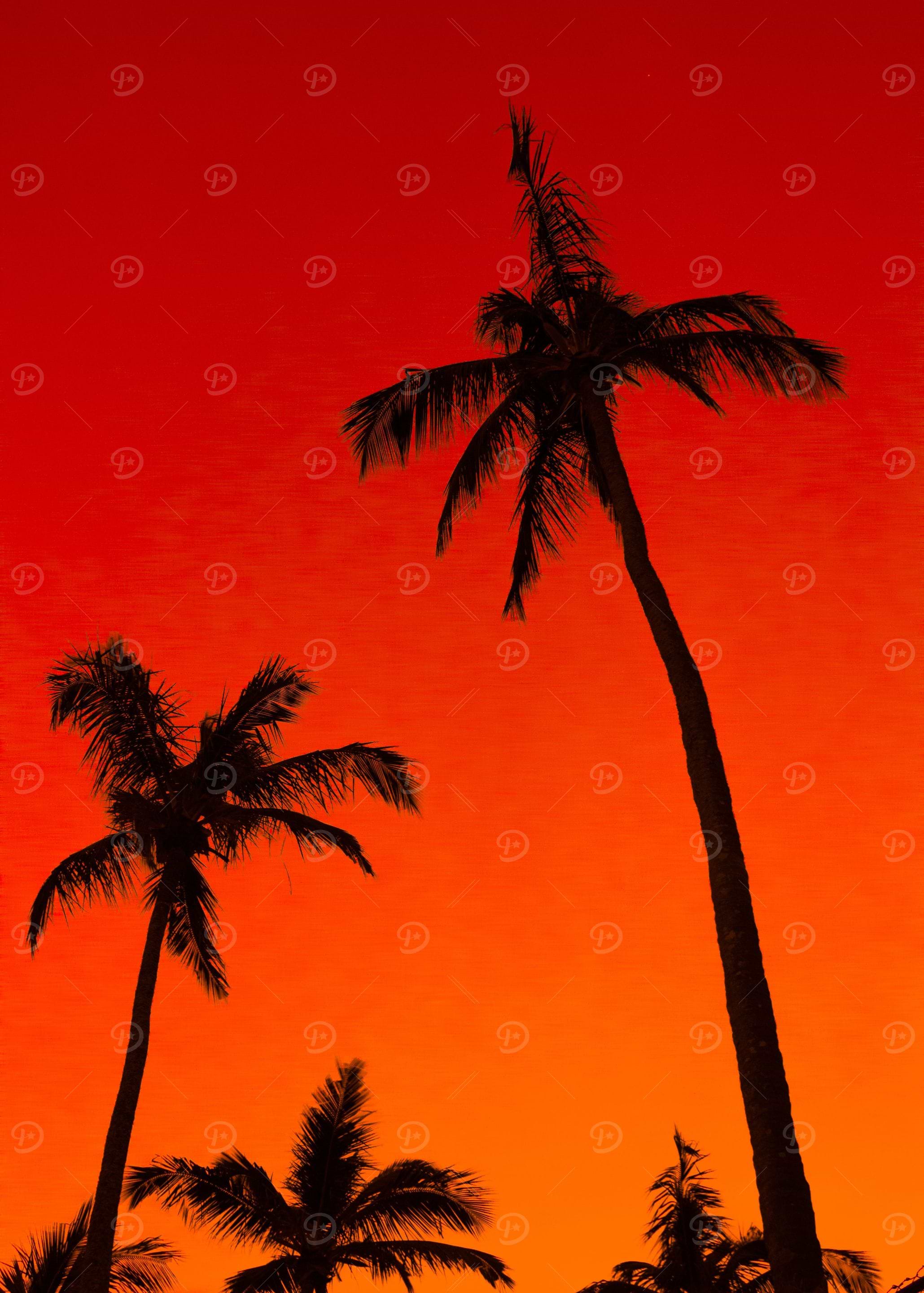 redpalms