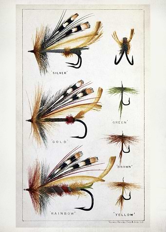 Fly Fishing