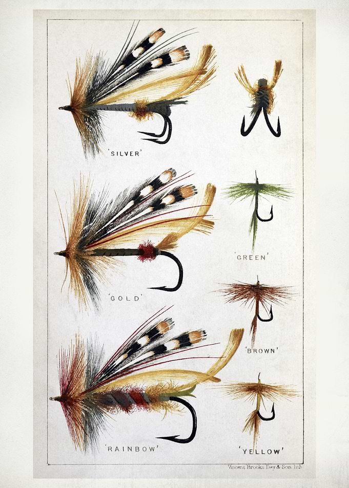 Fly Fishing