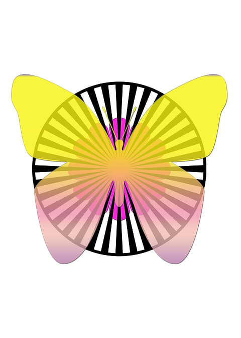 Butterfly and pink flower
