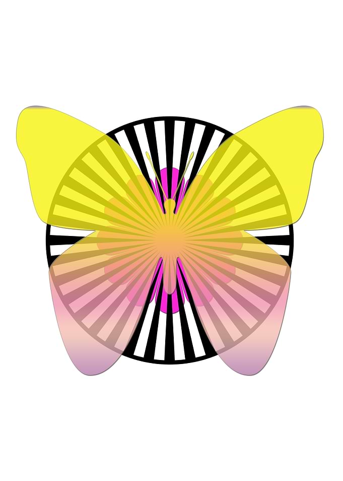 Butterfly and pink flower
