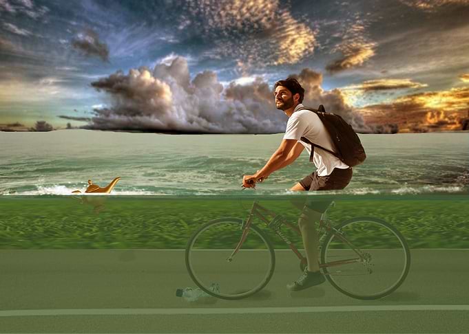 Rider