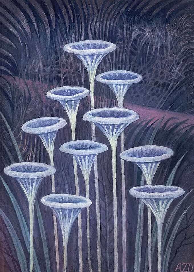 Violet flowers