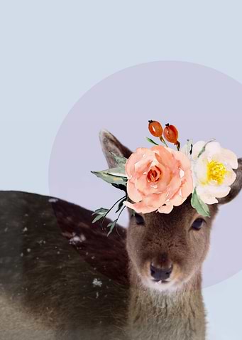 Oh Deer