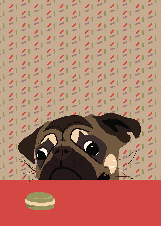 Le pug et le macaron