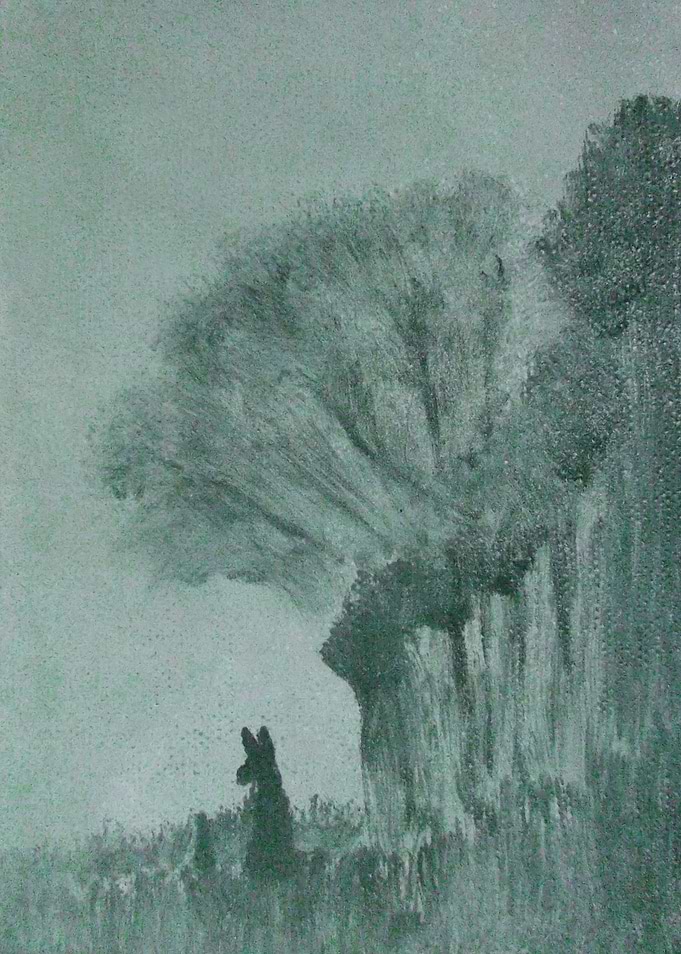 Evening in the Wood
