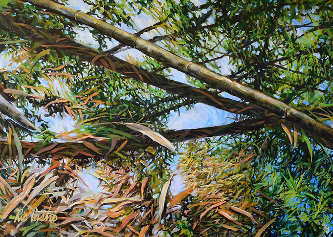 Bamboo Mirror Sky