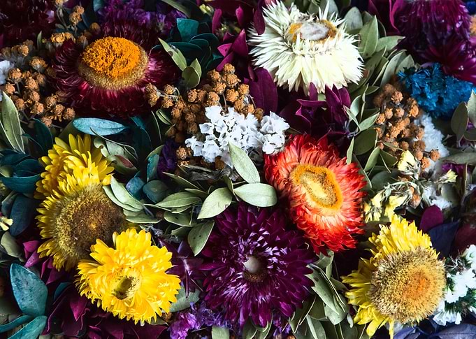 Colorful flowers