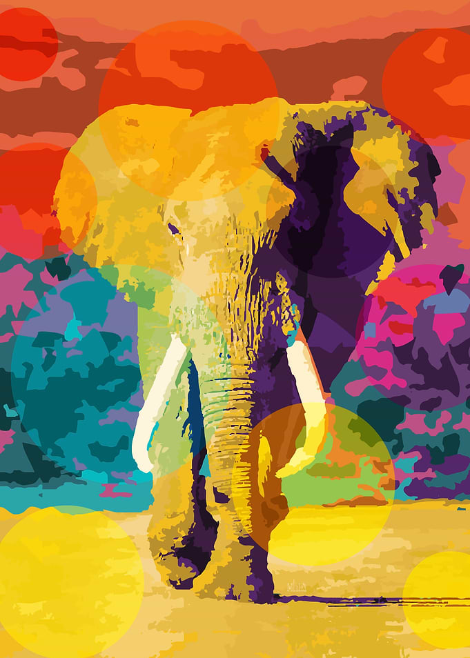 Elephant pop