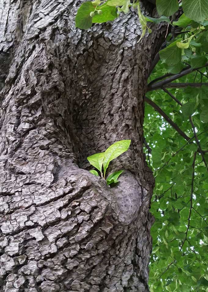 A new twig