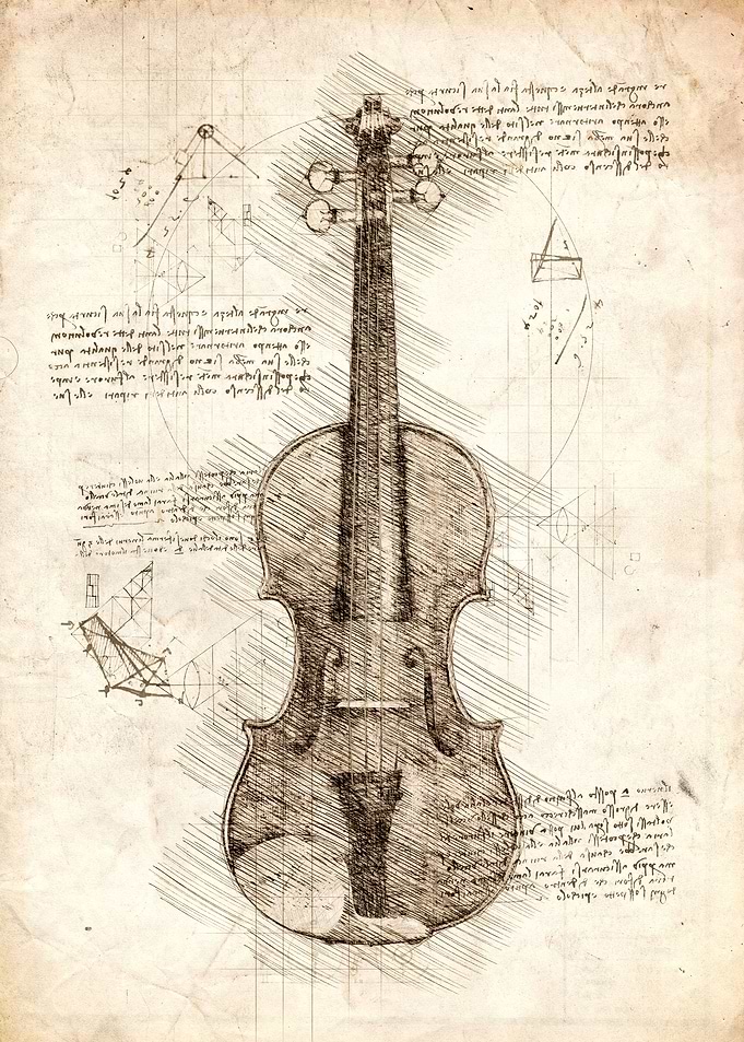 Violin