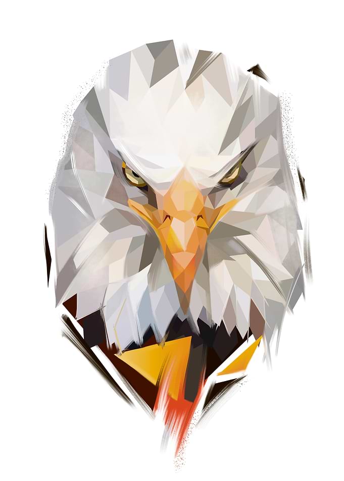 Bad Eagle