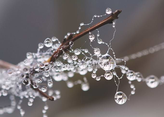 Winter Rain Drops