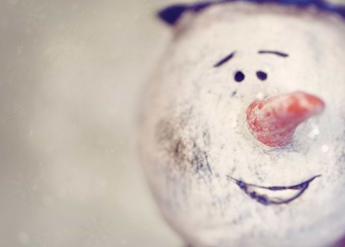 Winter Snow Man