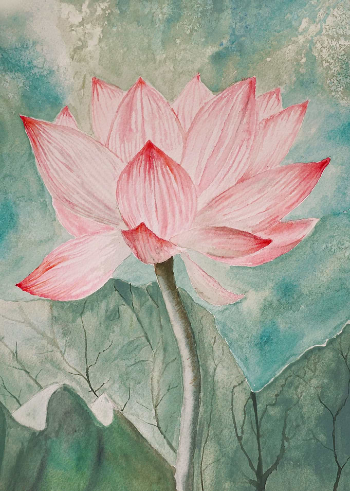 Water Lily Watercolor