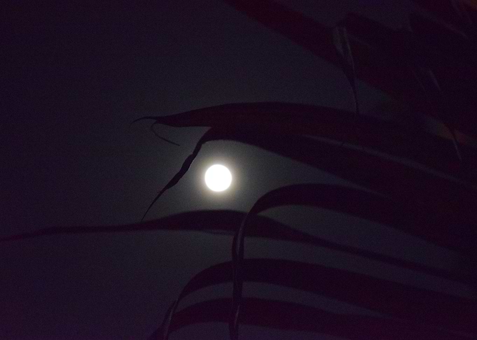 Silent Moon