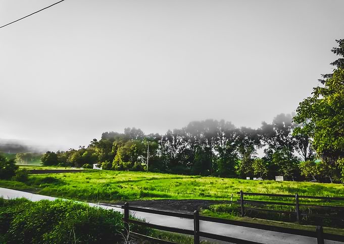 Morning fog