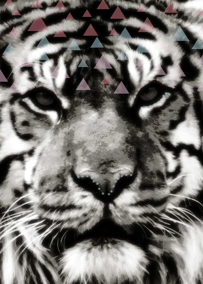 Tiger Tiger