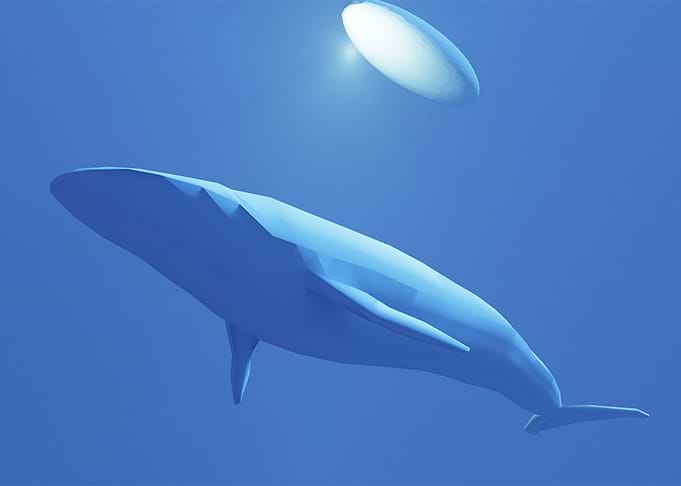 blue whale