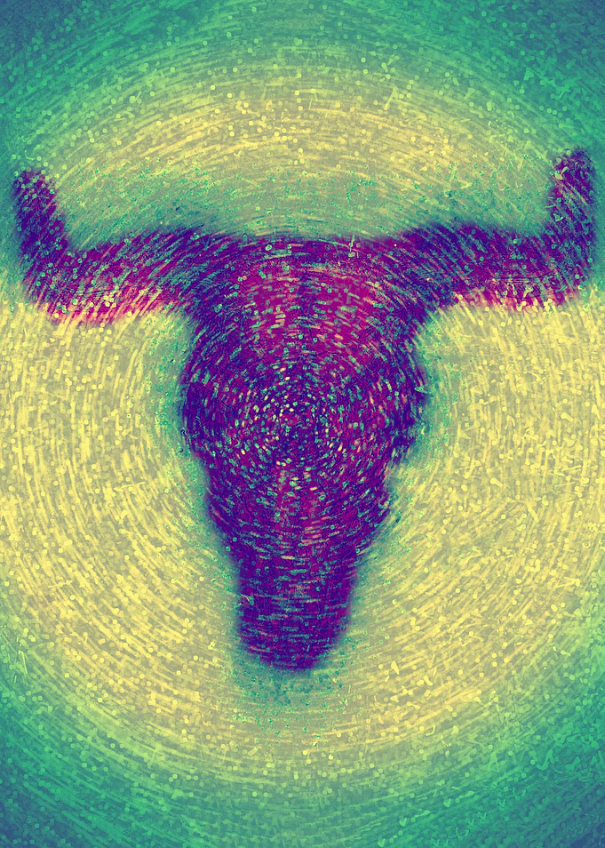 Buffalo Skull