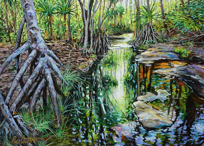 Tarzan Falls, Upper Stream