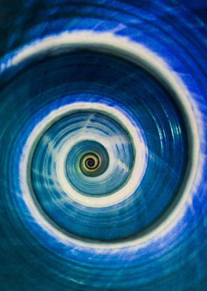 Blue and white spiral snail shell