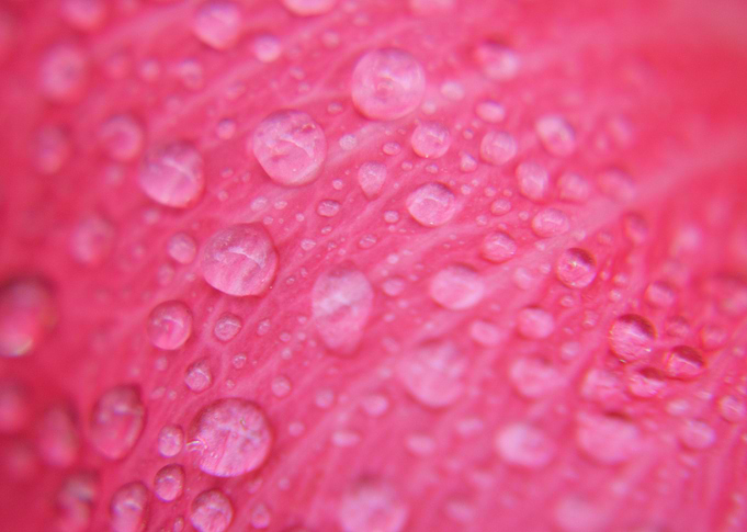 Delicate Texture