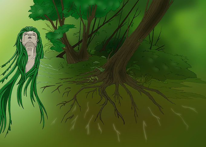 Forest of Life