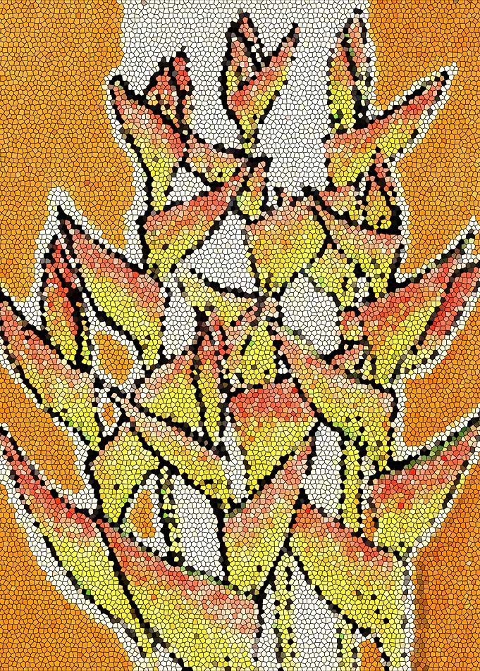 Lobster Claw Mosaic