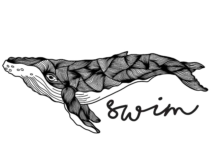 Humpback Whale | Swim swim swim