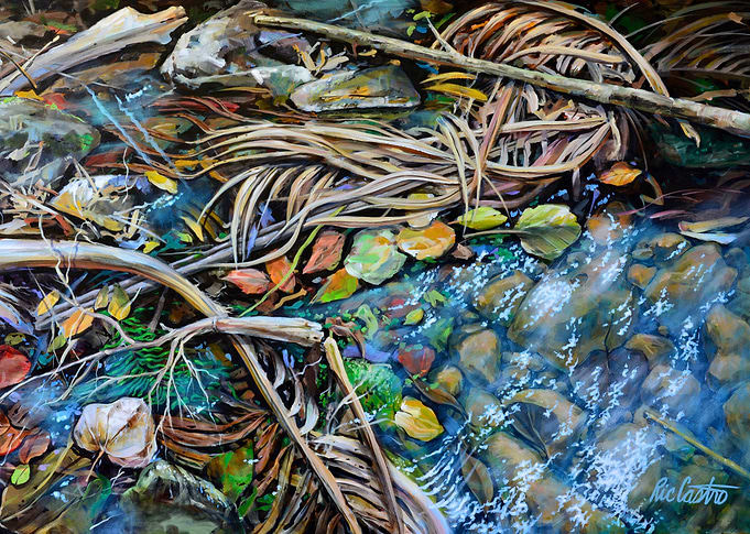 Nature's Mementos