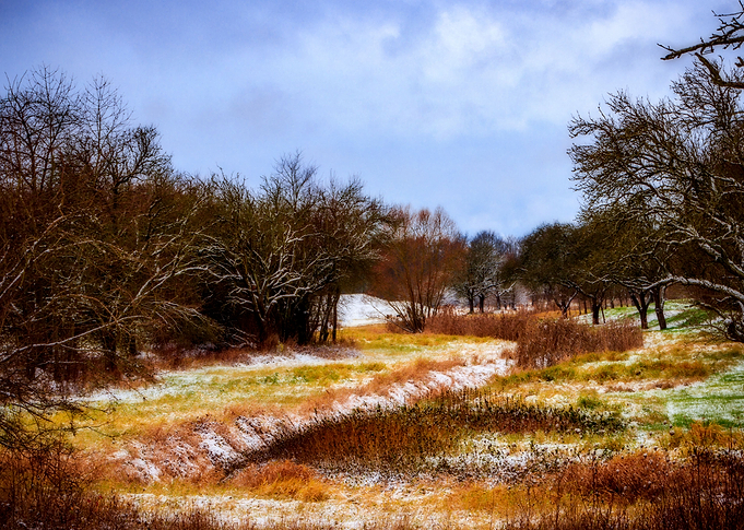 Winter Landscape
