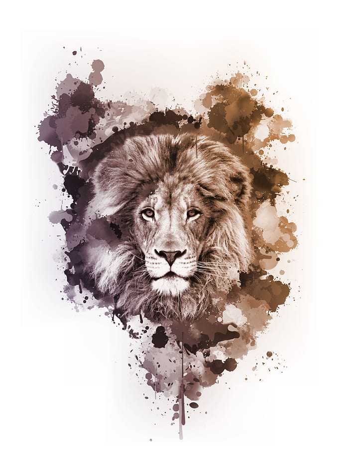 Inked Safari - Dusty Lion