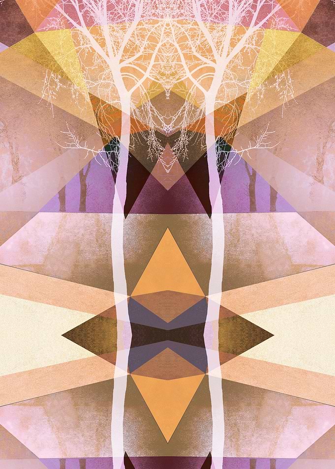 TREES INTO GEOMETRIC WOLRD NO2