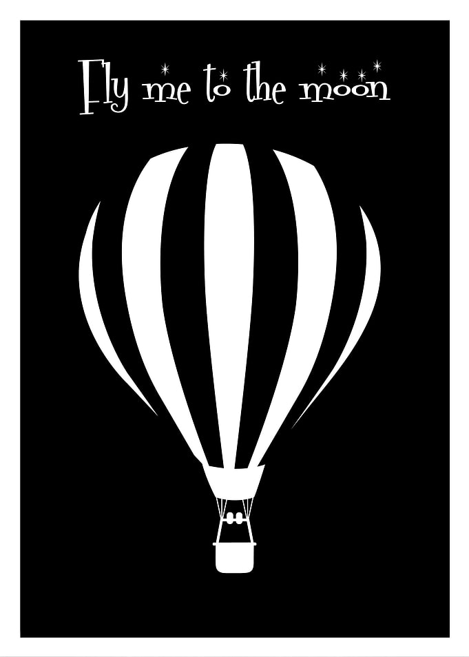 Fly Me To The Moon