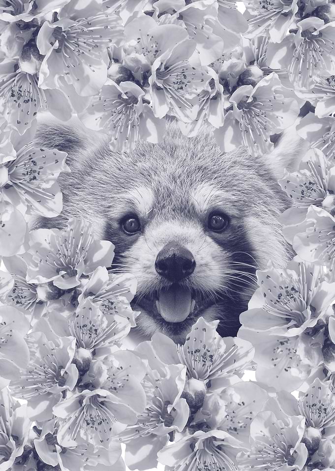 Red flower panda