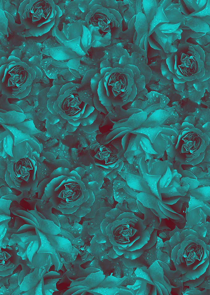 flowers 25