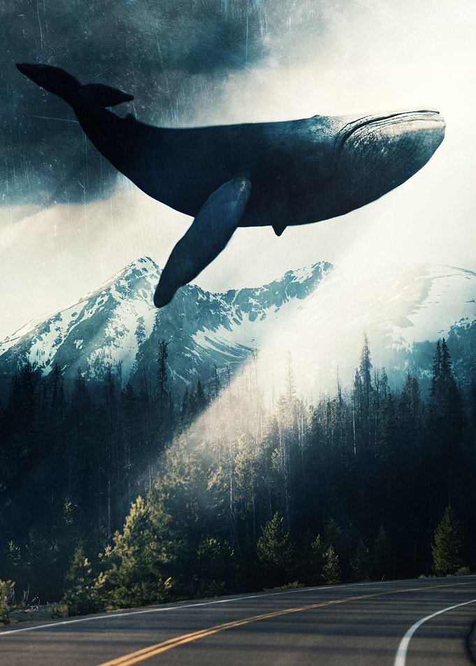Blue Whale