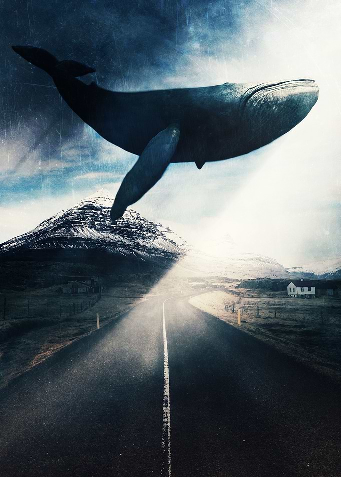 Blue Whale