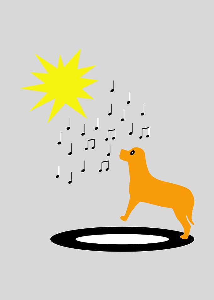 Barking on the star