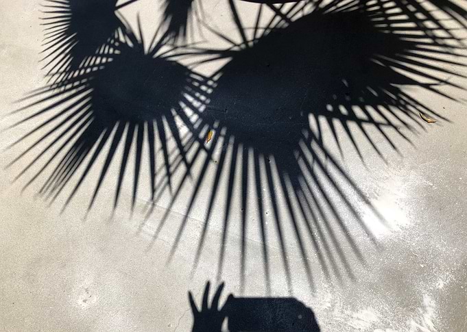 shadow play
