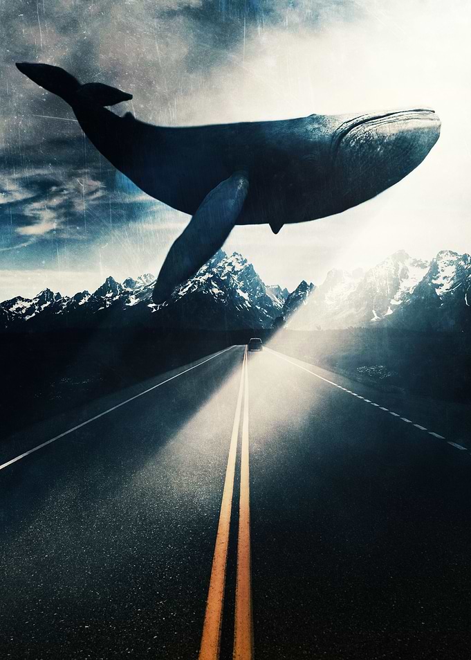Blue Whale