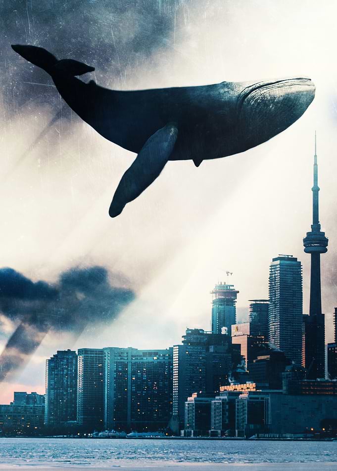 Blue Whale