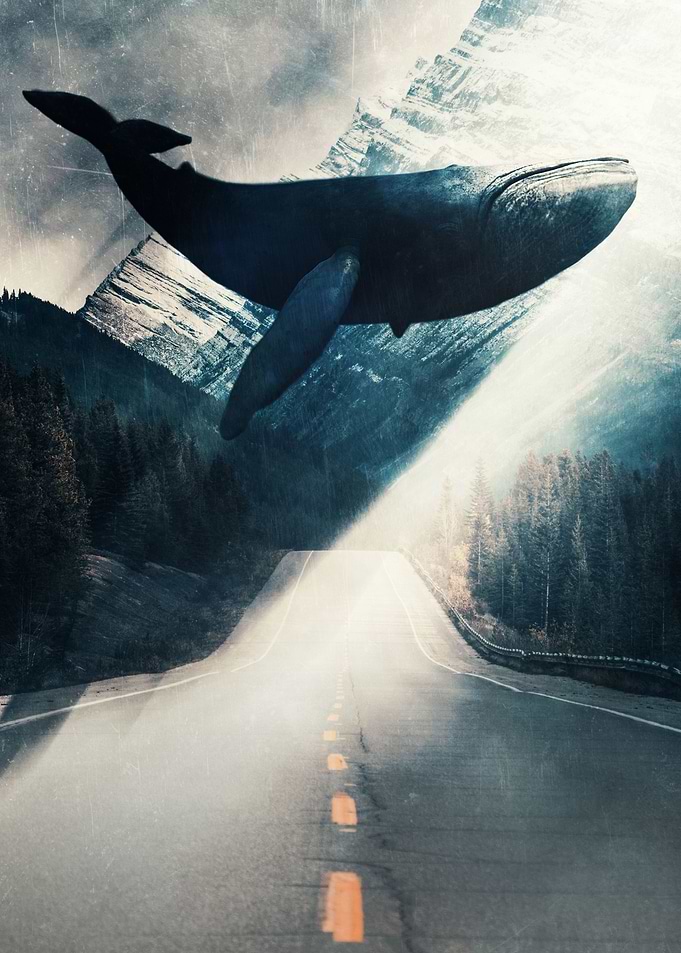 Blue Whale