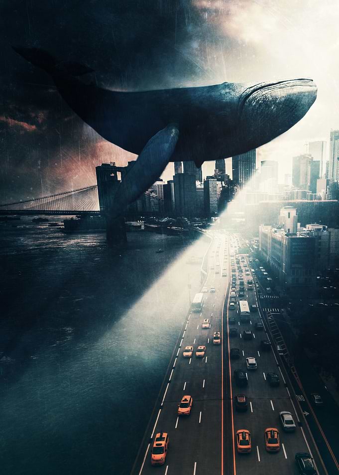Blue Whale